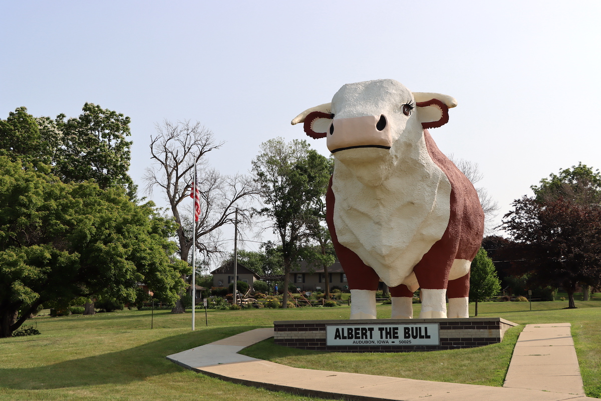 Albert The Bull Iowa