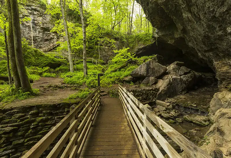 e8029e03-fb6d-4f9b-bb85-f4e5224daa38 copy